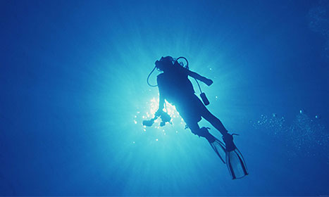 Diving Watches Key Differences From Regular Watches