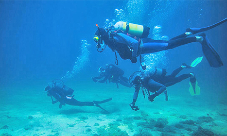 How Are Dive Watches Produced?